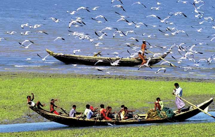 আগামী ৫ ফেব্রুয়ারি জাবিতে পাখি মেলা।।