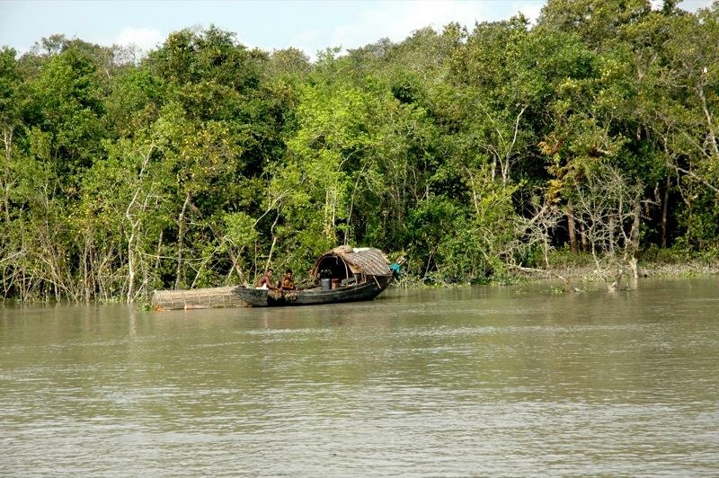 সুন্দরবনের আউটস্ট্যান্ডিং ইউনিভার্সেল ভ্যালুস রক্ষায় সরকারের পদক্ষেপ পরিদর্শনে আসছে ইউনেস্কোর প্রতিনিধিদল ।।