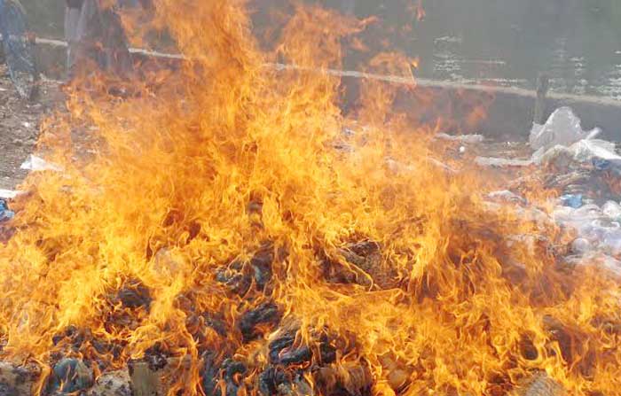 চাঁদপুরে ৪ লক্ষ ৩৫ হাজার ৪শ মিটার কারেন্ট জাল পোডালো কোস্টগার্ড ও মৎস বিভাগ