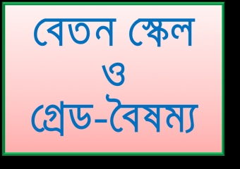 সরকারি কলেজ শিক্ষকদের বেতন গ্রেড নিয়ে কাজ করছে উচ্চ পর্যায়ের কমিটি ।।