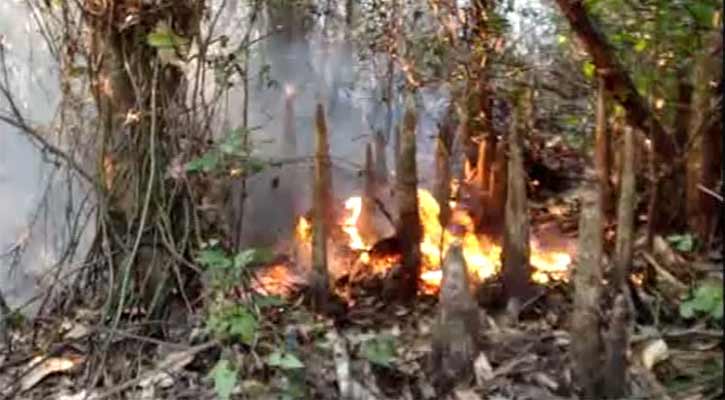 সারা রাত আগুনে পুড়লো সুন্দরবন..........