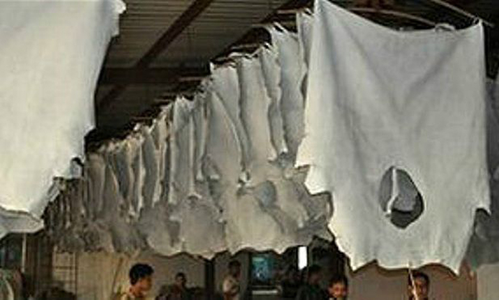 ট্যানারি স্থানান্তরে আরেকদফা সময় বৃদ্ধি ।।