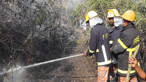 অবশেষে সুন্দরবনের আগুন নিয়ন্ত্রনে ।। ৬ অপরাধী চিহ্নিত....