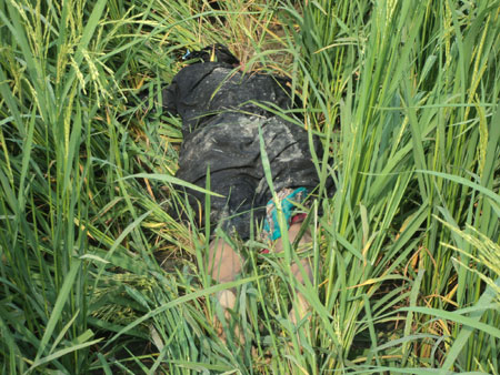 ধান ক্ষেত থেকে তরুণীর লাশ উদ্ধার ।।