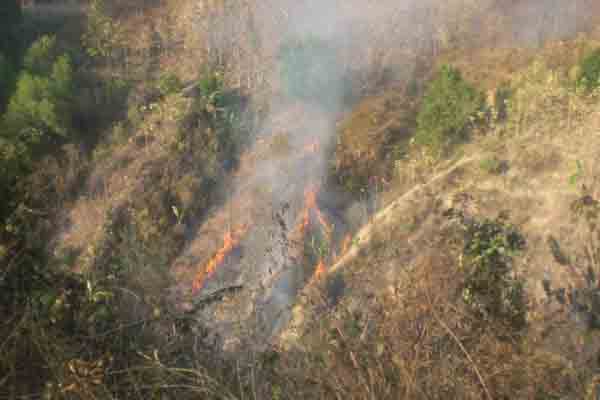 লামায় পাহাড়ে আগুন, হুমকির মুখে জীববৈচিত্র্য ।।