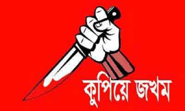 রায়পুরে একই পরিবারের ৪ জনকে কুপিয়ে জখম ।।