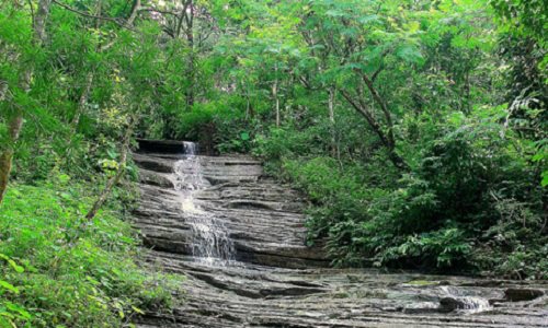 সীতাকুণ্ড ইকোপার্কের পাহাড়ে তরুণী খুন।।