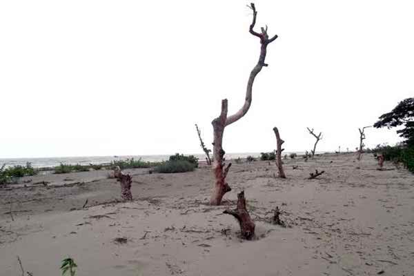 আইলা পরবর্তী সাত বছর ।। অভিবাসী হচ্ছে উপকূলের মানুষ কমেছে গরু ও ছাগলের উৎপাদন