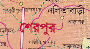 নালিতাবাড়ীতে চালককে হত্যা করে সিএনজি ছিনতাই, আটক ১।।