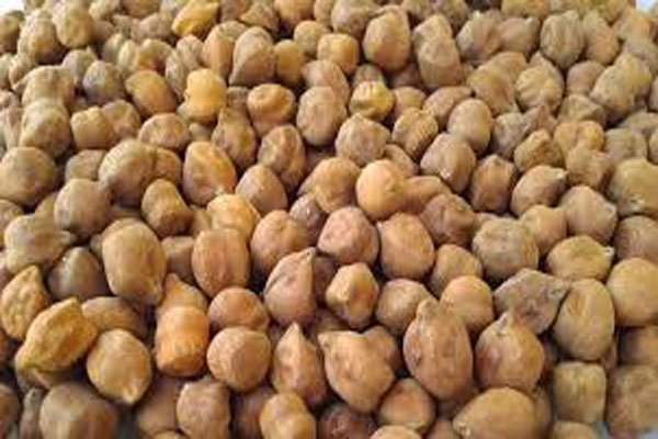 রমজানে বিক্রির জন্য বন্দরে খালাস হচ্ছে টিসিবিক ১ হাজার ৫০০ টন ছোলা ।।