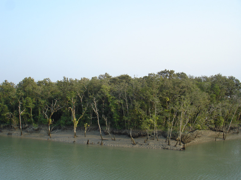 সুন্দরবনের দস্যুদল মাস্টার বাহিনীর আত্মসমর্পণ ।।