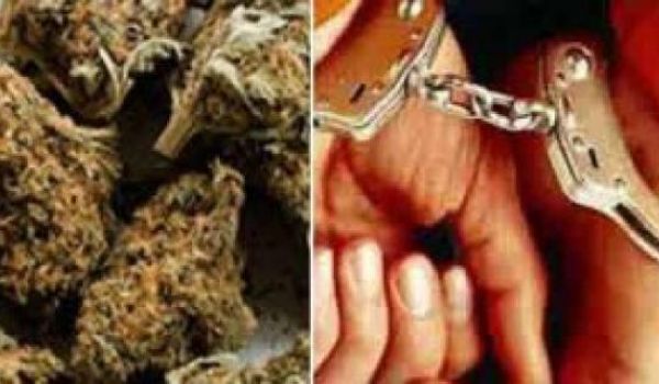 দেবহাটায় গাঁজাসহ ওয়ারেন্টভুক্ত আসামী আটক.....