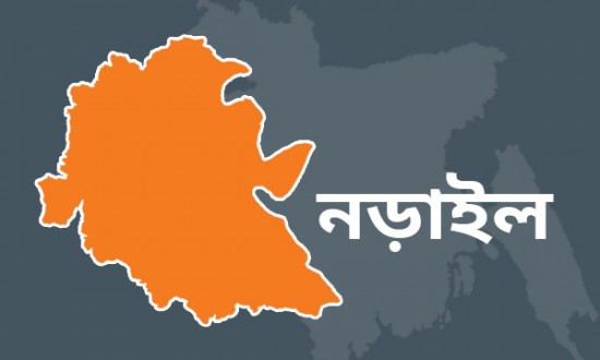 নড়াইলে পৌরসভা শিবিরের সভাপতিসহ আটক তিন