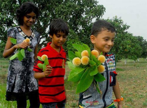 আজ আষাঢ়ের প্রথম দিন: বর্ষা ঋতুকে স্বাগতম
