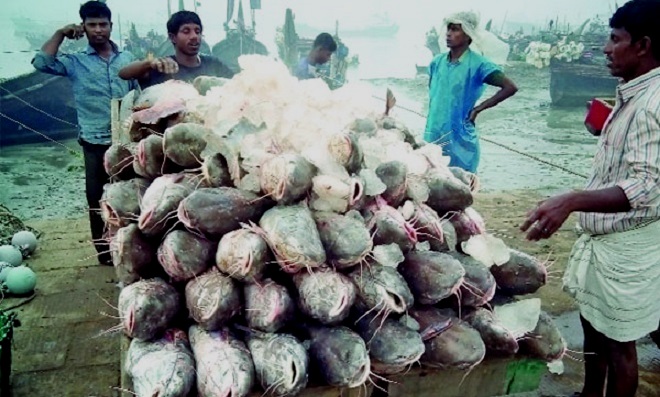 চলতি বছরেই সাগরের মৎস্য সম্পদ জরিপ শুরু।।