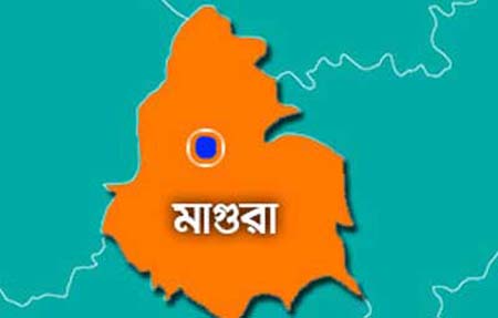 মাগুরা সদর উপজেলায় সড়ক দুর্ঘটনায় এক ট্রাকের হেলপার নিহত