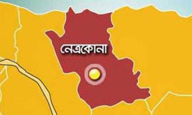 নেত্রকোনার কেন্দুয়ায় ভাতিজাদের কিল-ঘুঁষির আঘাতে চাচা নিহত