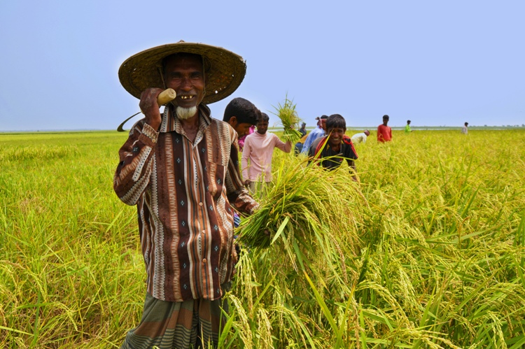 বাংলাদেশে মোবাইল ব্যবহারকারীর সংখ্যা ১৩ কোটি ২৬ লক্ষ