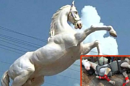 শক্তিমানের মূর্তি নিয়ে রাজনৈতিক টানাপোড়েন!