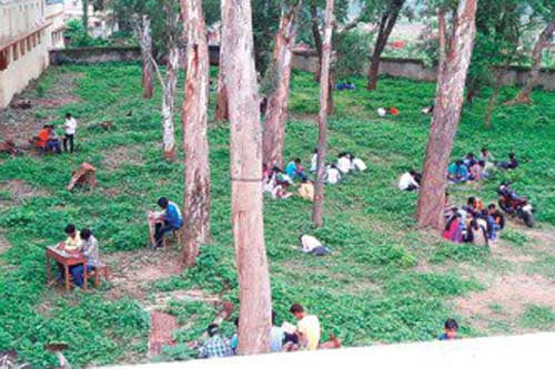 ভারতের বিহার রাজ্যে কলেজের বাগানে বসেই পরীক্ষা!