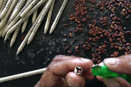 এবার কলম থেকেই জন্মাবে গাছ।। আশ্চর্য হলেও সত্য ঘটনা .....