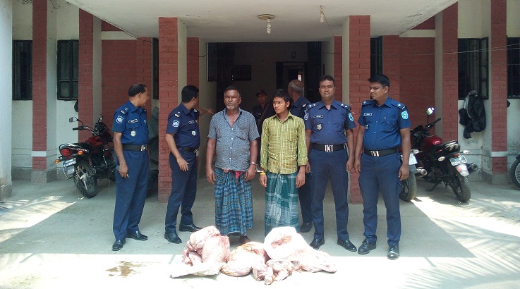 সুন্দরগঞ্জে মরা গরুর মাংসসহ পিতা-পুত্র আটক