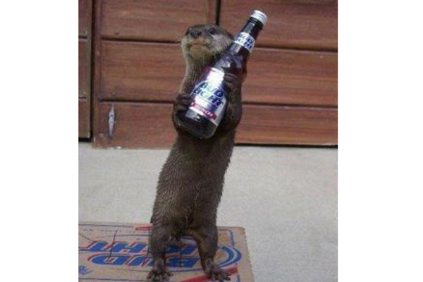 ভারতের বিহার রাজ্যে পুলিশ স্টেশনে ইঁদুরের মদ্যপান।।   