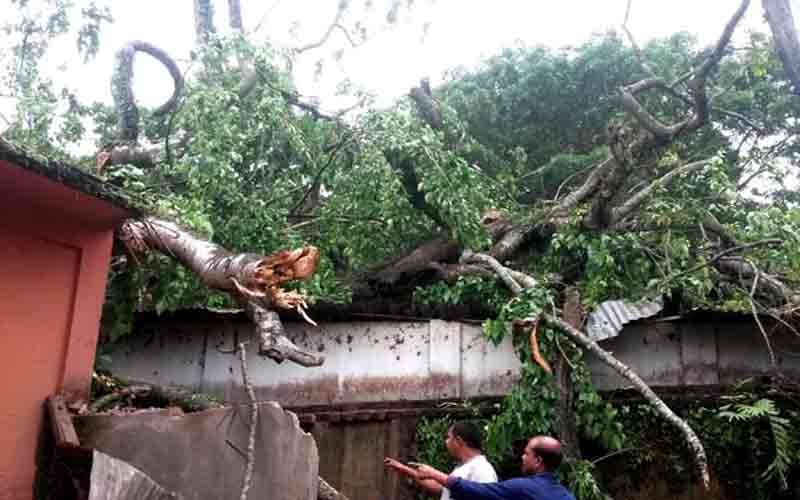 ঘূর্ণিঝড়ে শরীয়তপুরের পদ্মা তীরবর্তী শতাধিক বাড়িঘর লণ্ডভণ্ড, আহত ২৫।।   