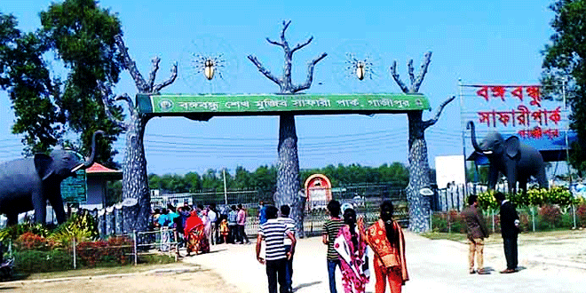 গাজীপুরে বঙ্গবন্ধু শেখ মুজিব সাফারি পার্কে দুই জিরাফের মৃত্যু।।   