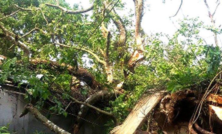 ঘূর্ণিঝড় ‘মোরা’র আঘাতে কক্সবাজারের উখিয়ায় ব্যাপক ক্ষয়ক্ষতি।।   