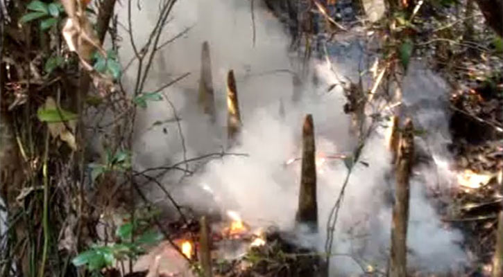 সুন্দরবনে অগ্নিকান্ডের ঘটনায় ছয়দিন পর শরণখোলায় মামলা।।   