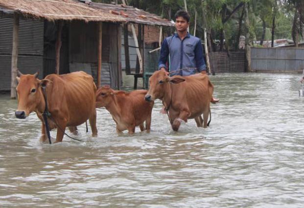 ভোলার মনপুরায় জোয়ারের পানি ঢুকে ৩০ হাজার মানুষ বন্ধী।।      