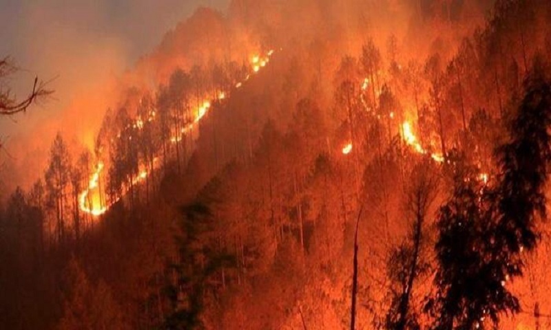 কানাডায় শত শত কিলোমিটার জুড়ে দাবানল ছড়িয়ে পড়ায় জরুরি অবস্থা ঘোষনা।।   