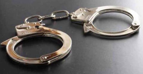 সাপাহার সীমান্তে বিএসএফের হাতে ২ বাংলাদেশি গরু পাচারকারী আটক।।