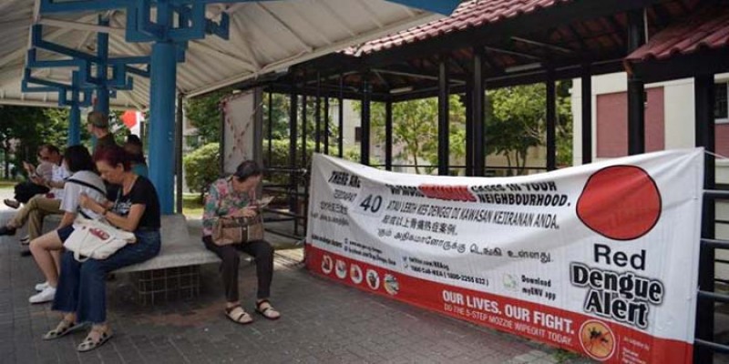সিঙ্গাপুরে এপর্যন্ত ডেঙ্গু আক্রান্ত হয়ে ৯ জনের মৃত্যু॥