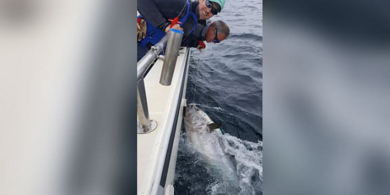 ২৩ কোটি টাকার মাছ ধরেও ছেড়ে দিলেন !!