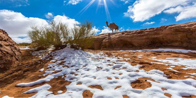 বাংলাদেশ-ভারত-পাকিস্তানও পাবে সৌদি পর্যটক ভিসা !!