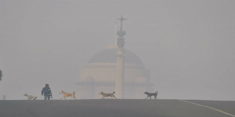 ১৯০১-এর পর এই প্রথমবার দিল্লির তাপমাত্রা ২.৪॥ ঠান্ডায় কাঁপছে ভারতের রাজধানী