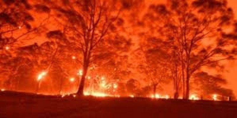অস্ট্রেলিয়ার ৬ রাজ্যের ৪টিই দাবানলের কবলে॥