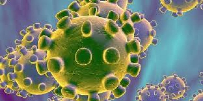 আনুষ্ঠানিক নাম পেল করোনাভাইরাস॥