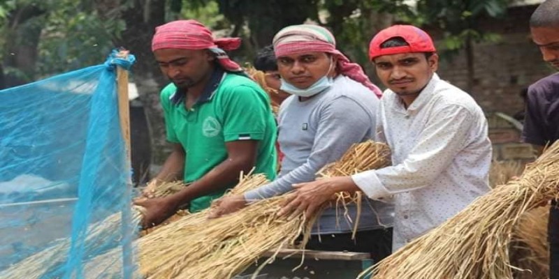 সাতক্ষিরার কালীগঞ্জে কৃষকের ২ বিঘা জমির ধান কেটে মাড়াই করে ঘরে তুলে দিল ছাত্রলীগ॥