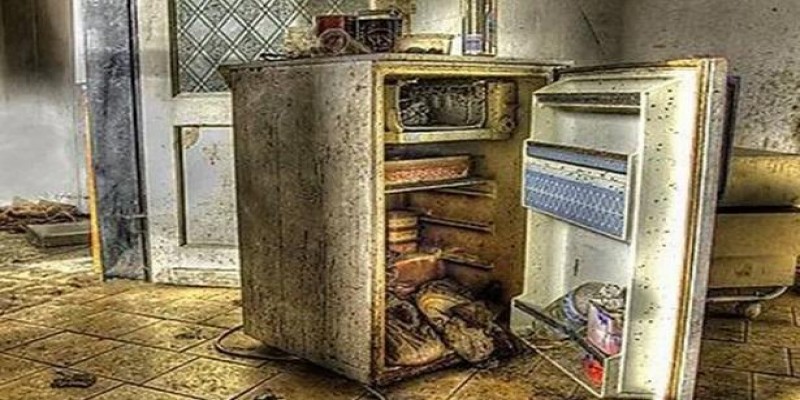 যুক্তরাষ্ট্রে সদ্য প্রয়াত এক মহিলার ফ্রিজে মিলল ১০ বছরের পুরনো মরদেহ॥