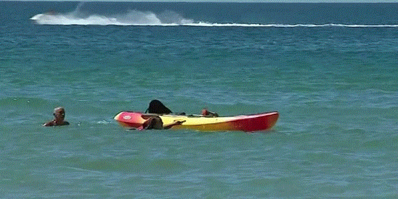 দুই নারীকে বাঁচাতে সাগরে ঝাঁপ দিলেন ৭১ বছর বয়সি পর্তুগালের প্রেসিডেন্ট মার্সেলো॥   