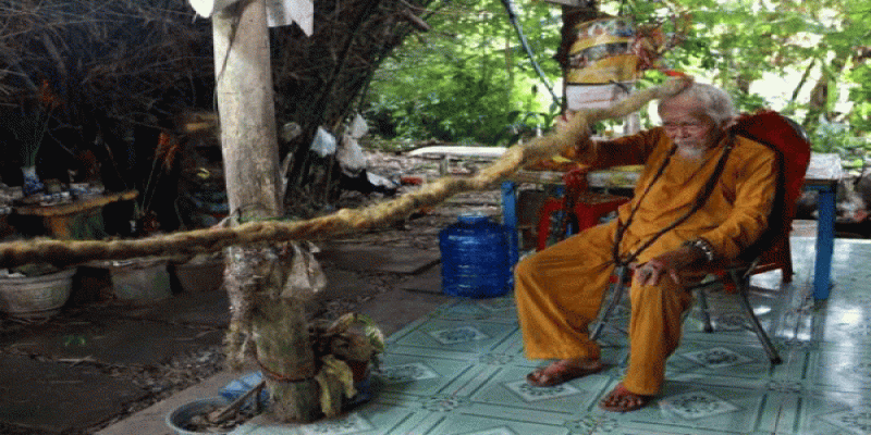 ভিয়েতনামের এনগুয়েন ভান চিয়েন গত ৮০ বছরে একবারও চুল কাটান নাই॥   