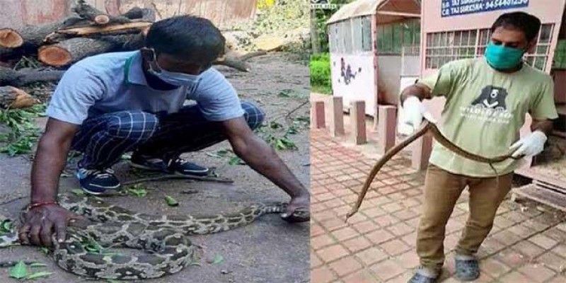 আগ্রার তাজমহলে দেখা মিলল বিশালাকৃতির অজগর॥