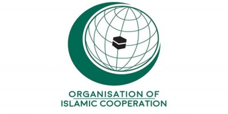 রোহিঙ্গা গণহত্যা ॥ মামলায় লড়তে গাম্বিয়ার জন্য ১২ লাখ ডলার তুলেছে ওআইসি