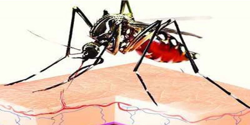 করোনার মধ্যে ভারতের কেরালায় জিকা ভাইরাসের হানা॥