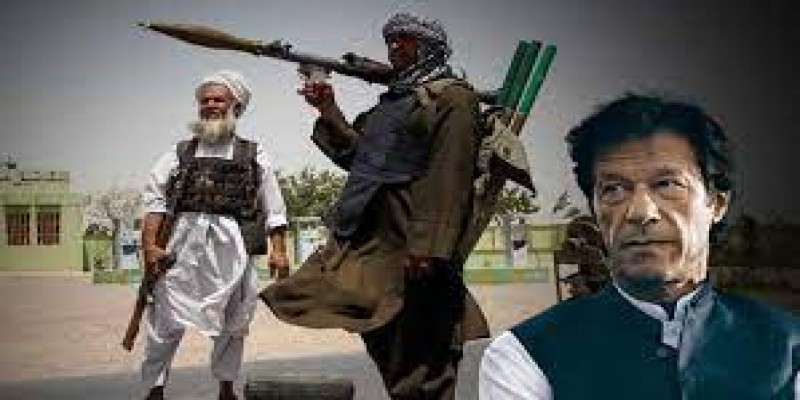 পাকিস্তানের মদতেই তালিবানি পুনরুত্থান আফগানিস্তানে॥