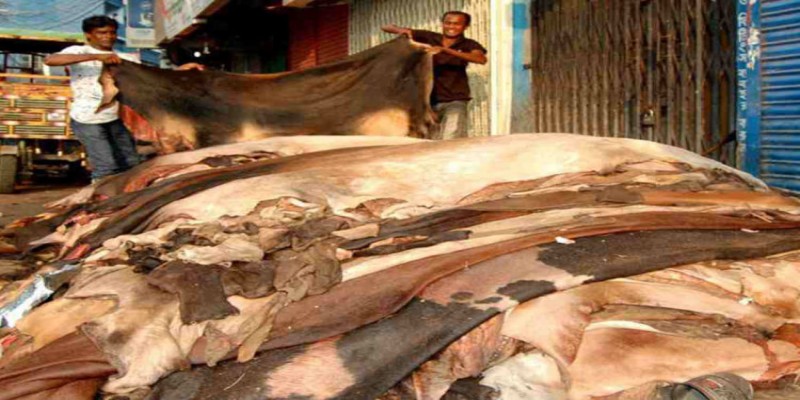 বর্গফুটে নয় পিস হিসেবে গরুর চামড়ার দাম নির্ধারণ॥ ঢাকায় ১২০০, বাইরে ১০০০