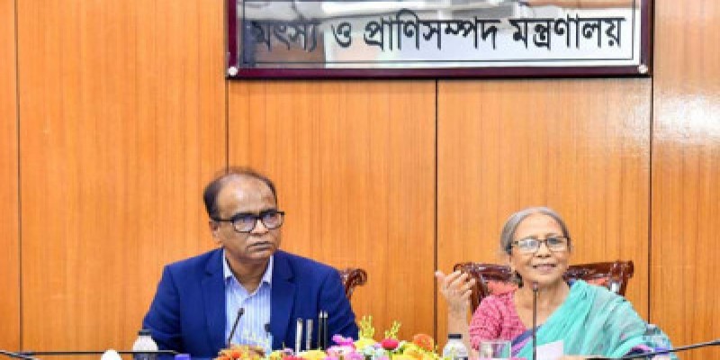 ইলিশ মাছ আগে দেশের মানুষ ইলিশ পাবে, পরে রপ্তানি॥ মৎস্য ও প্রানীসম্পদ উপদেষ্টা